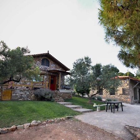 Kladi House Renovated 2023 Nikiti (Sithonia) Exterior foto