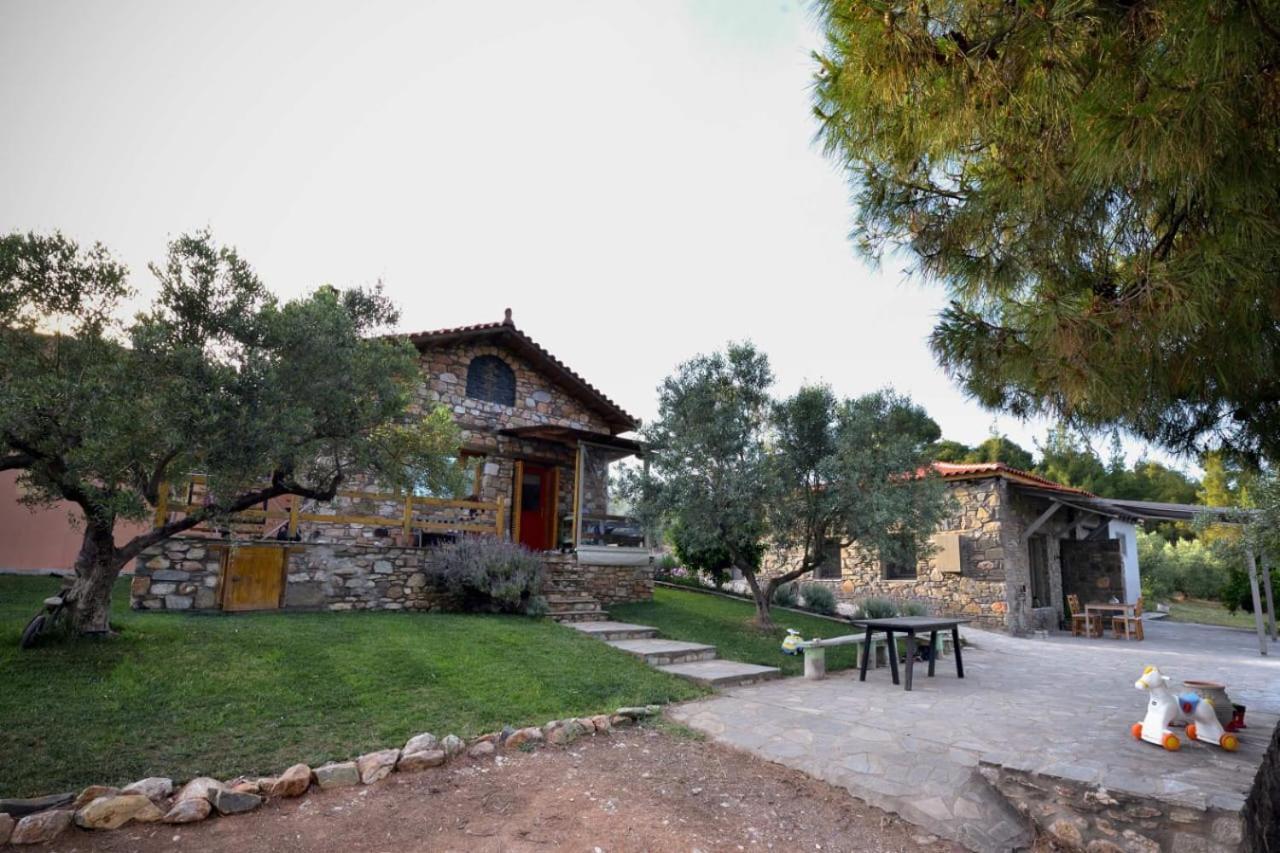 Kladi House Renovated 2023 Nikiti (Sithonia) Exterior foto