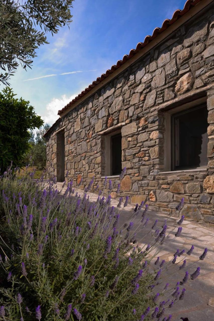 Kladi House Renovated 2023 Nikiti (Sithonia) Exterior foto